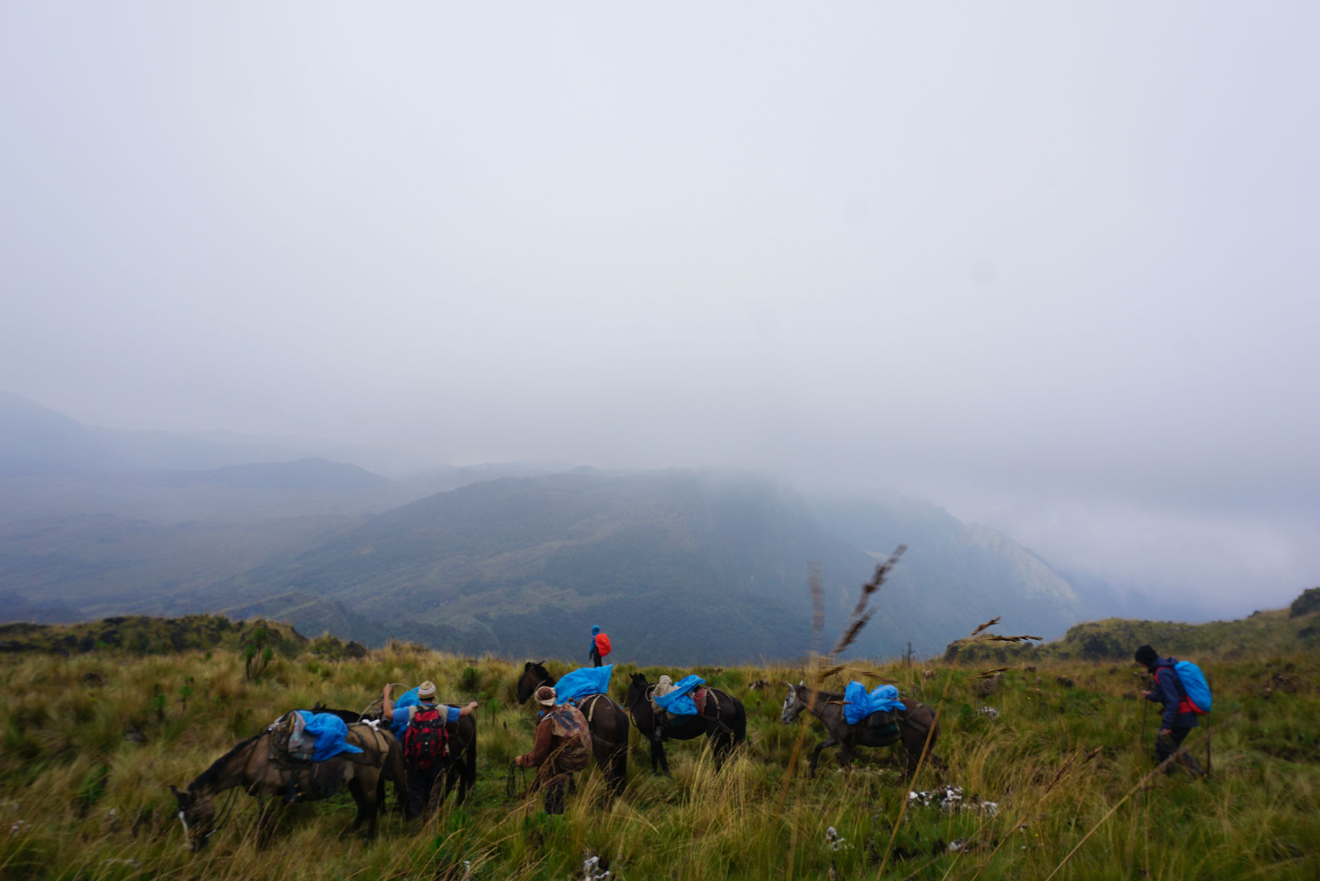Laguna de los Condores, Trek responsable