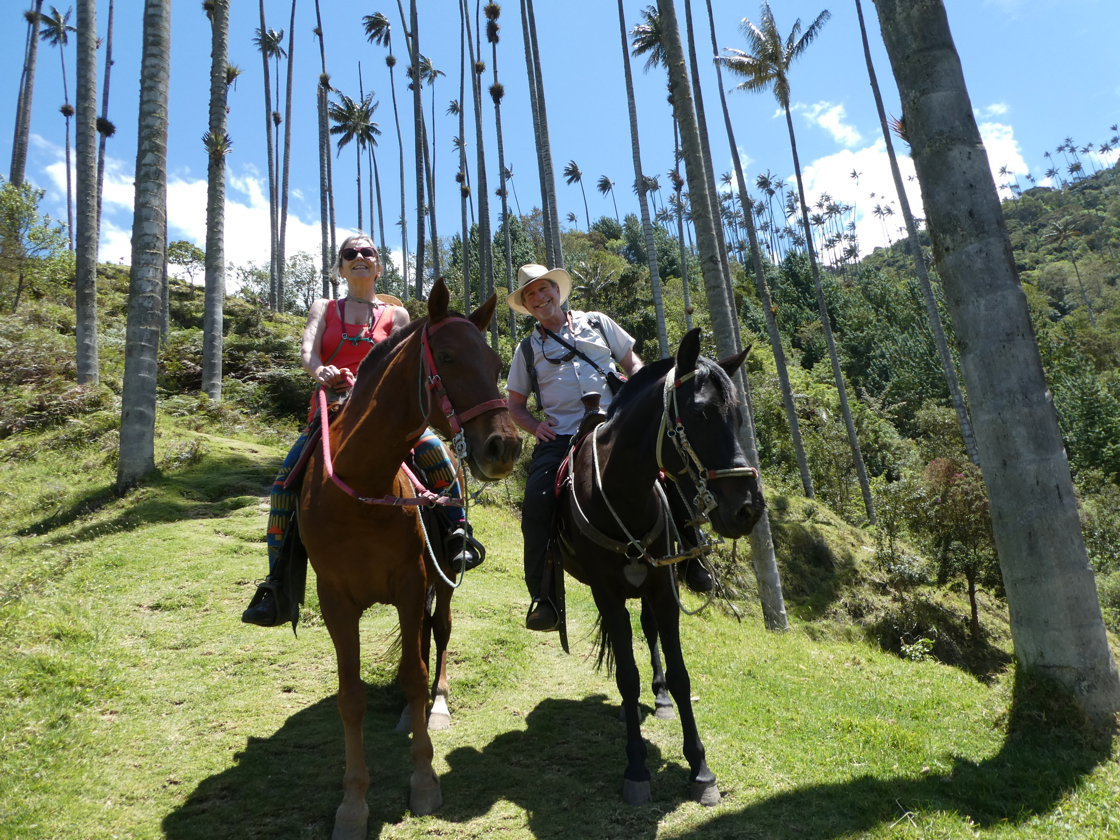 Cocora Tal Ausritt Kolumbien