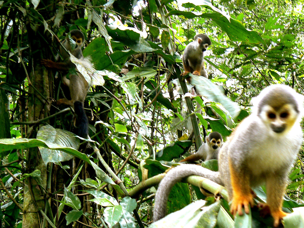 Trip to Colombia, nature