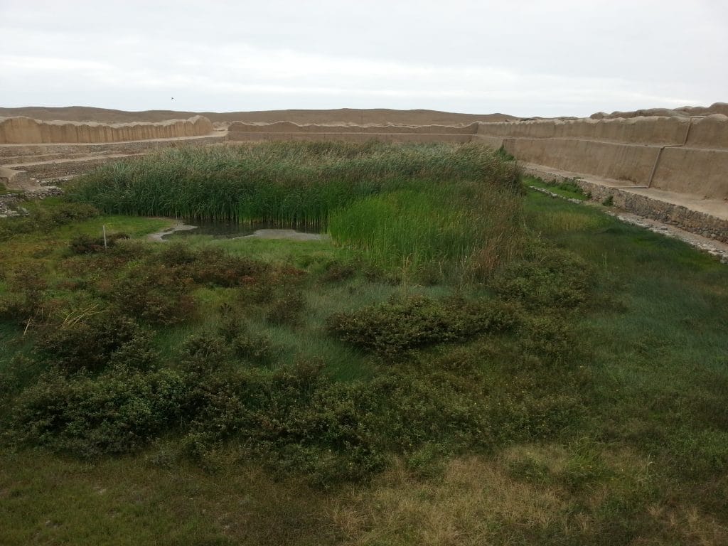 Bassin in Chan chan, Trujillo, Nordküste von Peru