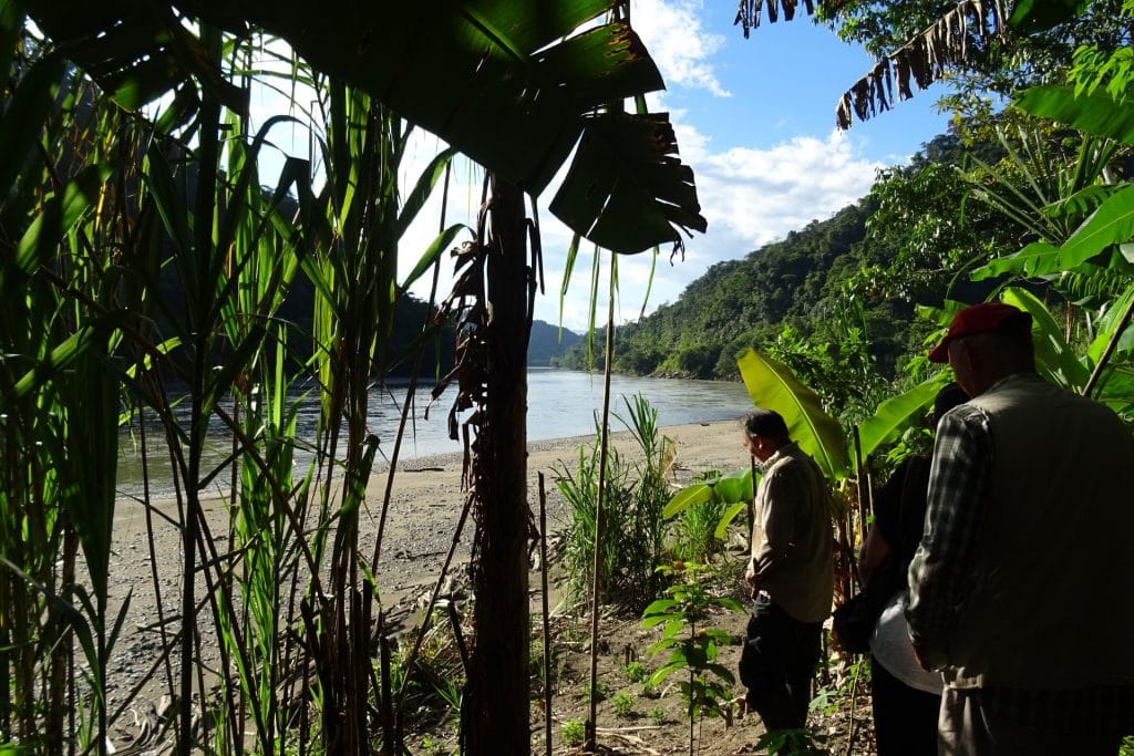 Northern Peru, Chiriaco, Peruvian Amazonia