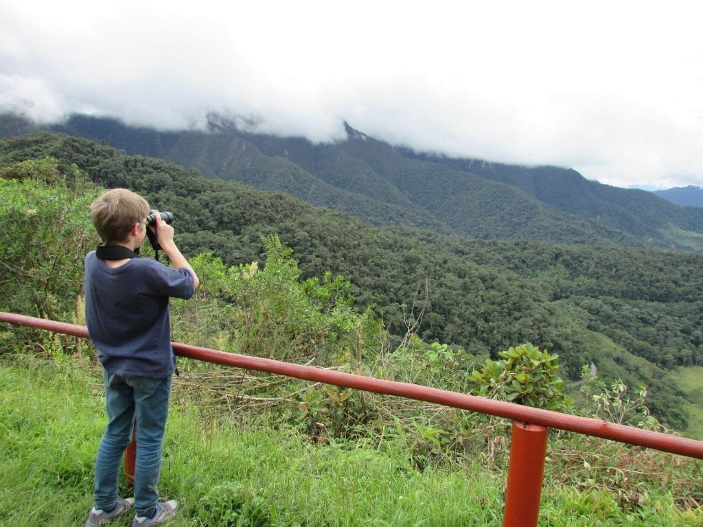 Maxime, mirador alto mayo