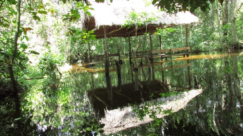 Ponton Réserve écologique