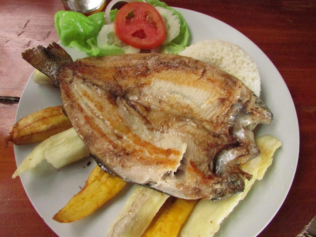 Grilled trout, Pomacochas