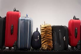 suitcase for travel to northern peru