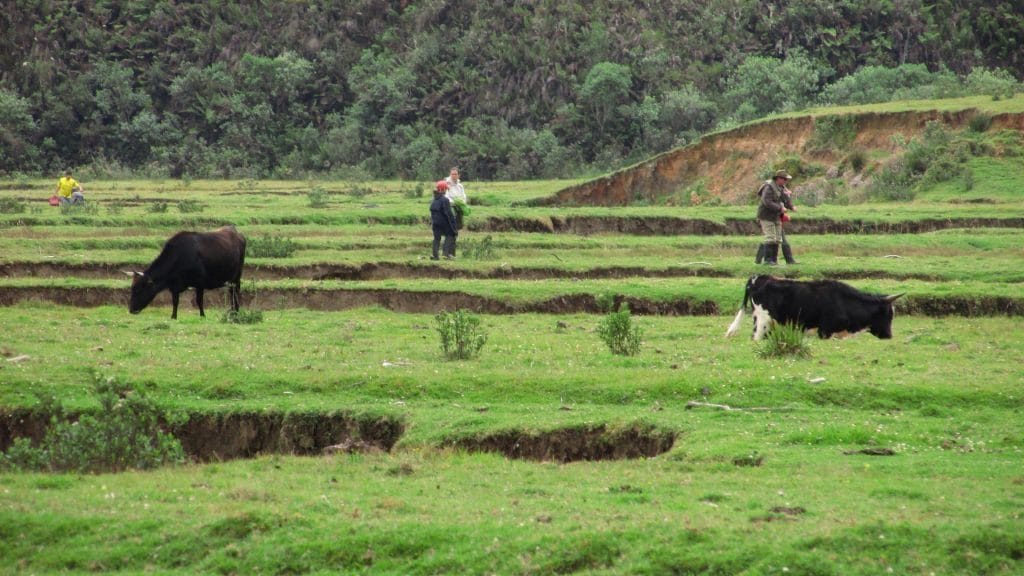 Huaylla Belen Nord Peru