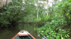 moyobamba nord du pérou