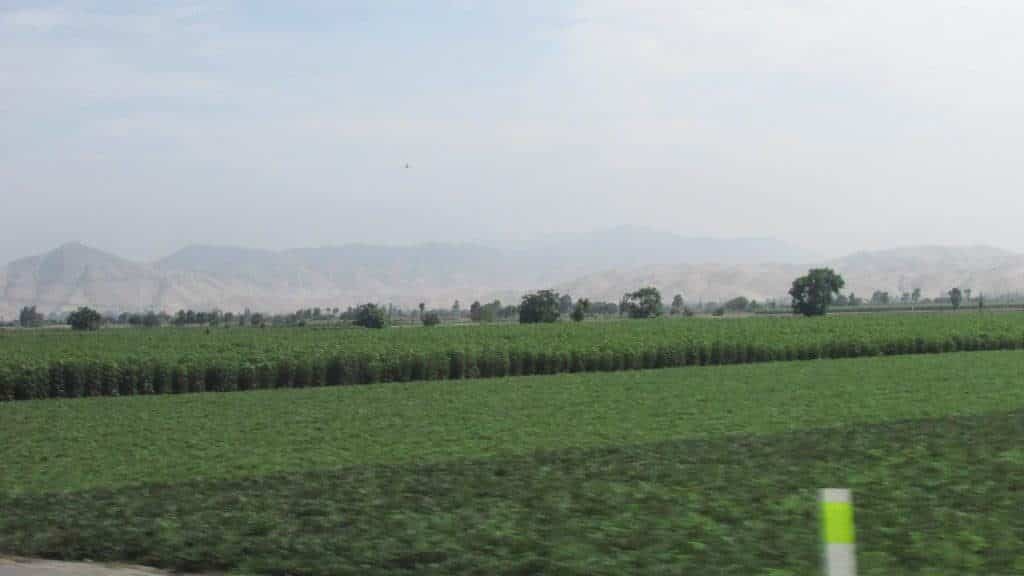 valley south Lima, san Vicente de Canete
