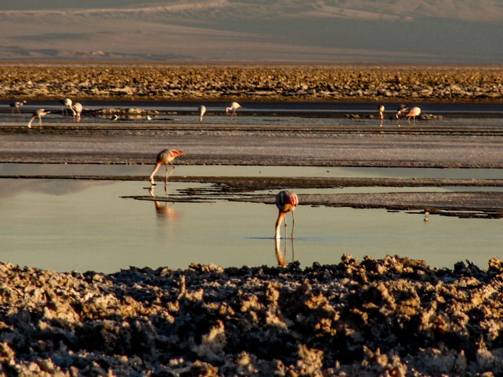 Discover Chile