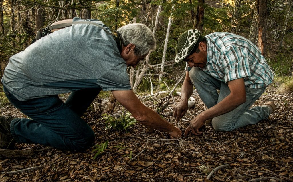 Rural and sustainable tourism in Chile