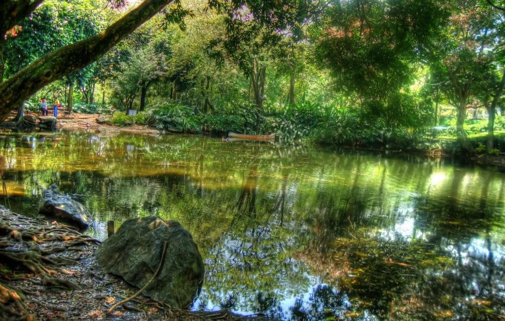 Botanischer Garten Medellin