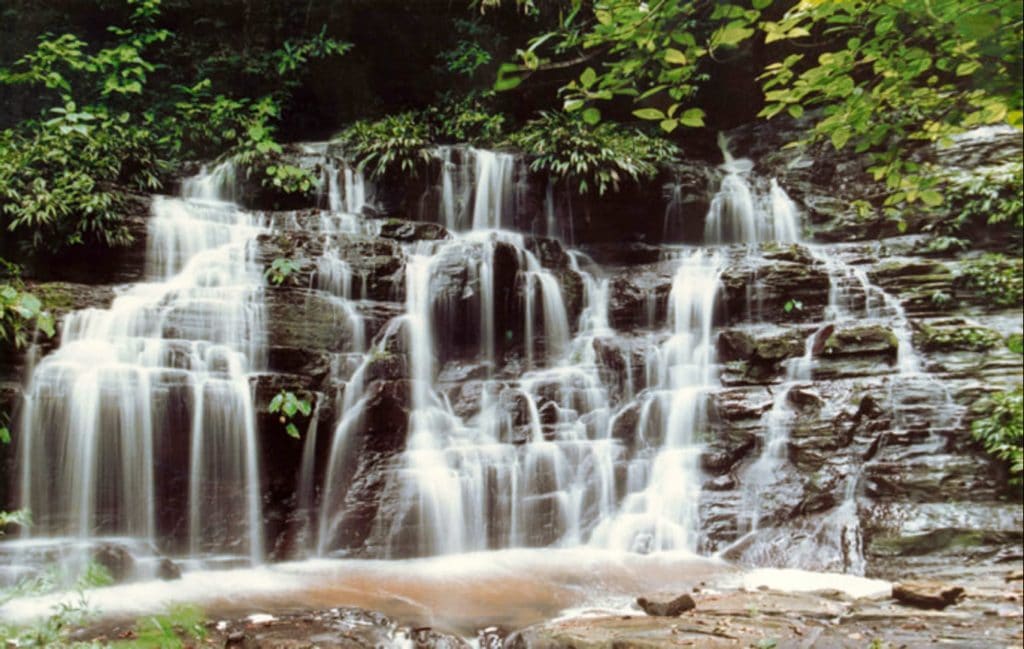 Nationalpark Los Katios