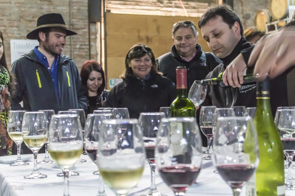 Dégustation de vin Chili