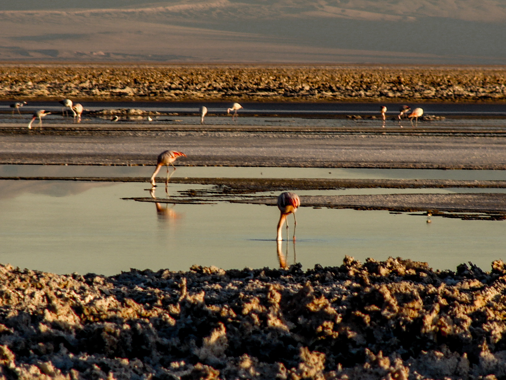 Atacama Chile