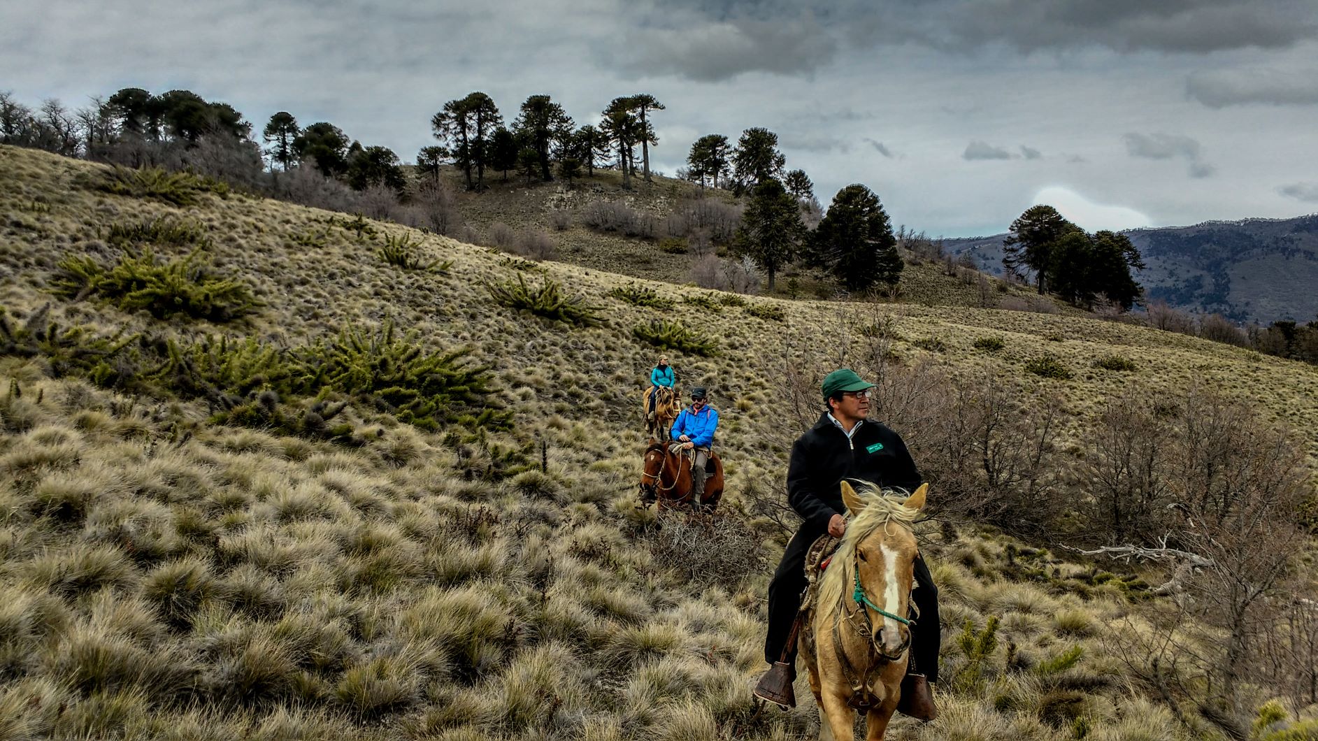 Nationalparks Chile