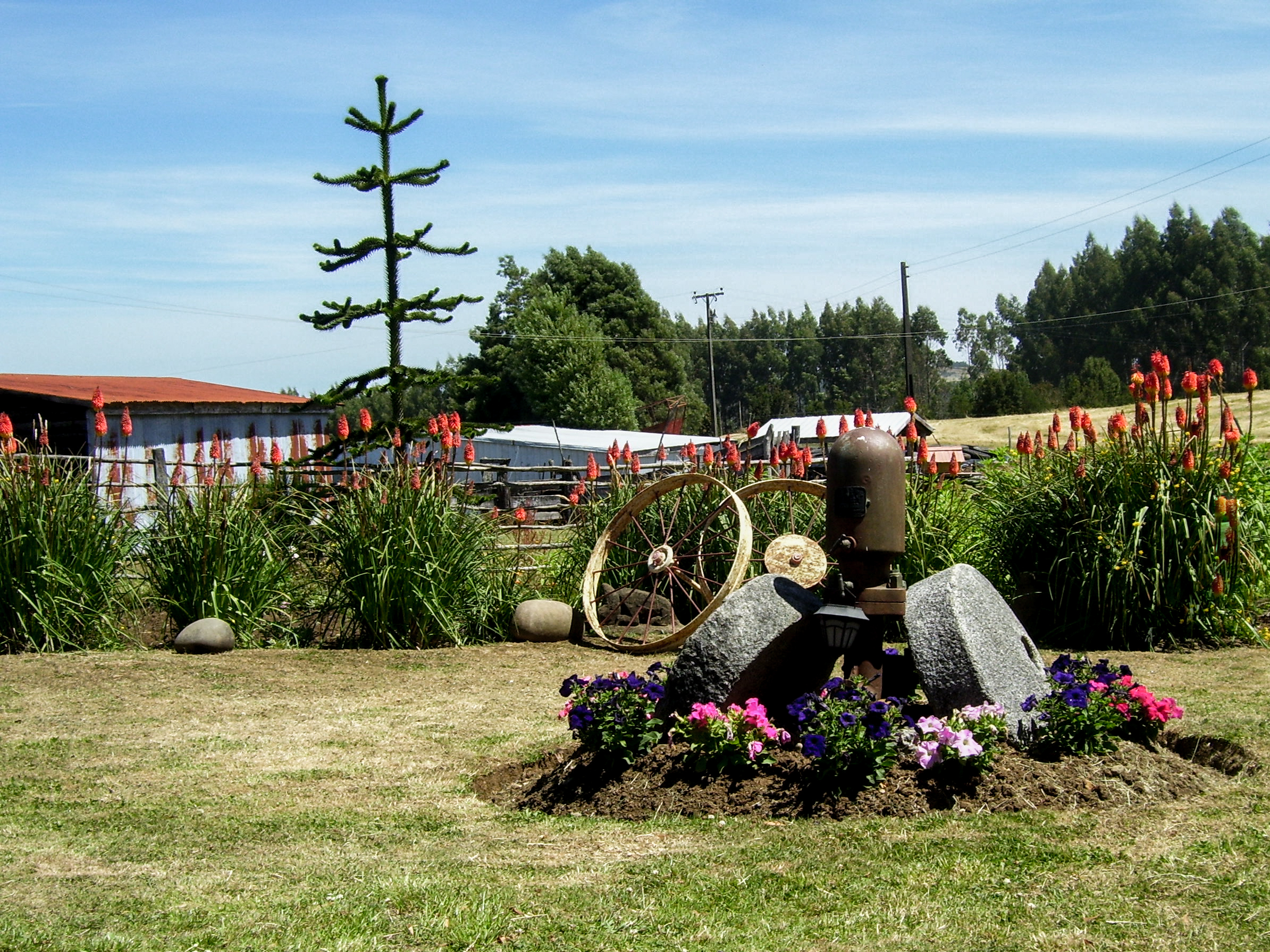 Nachhaltiges Reise in Chile