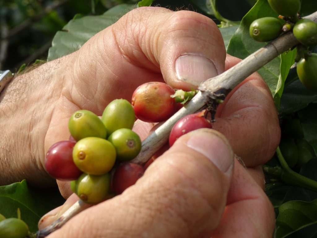 eje cafetero colombie