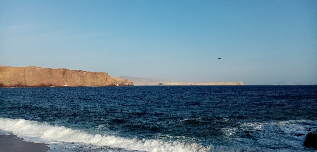 Réserve nationale de Paracas