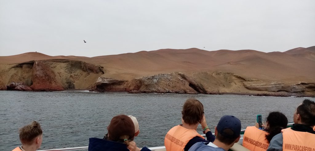Paracas and Islas Ballestas