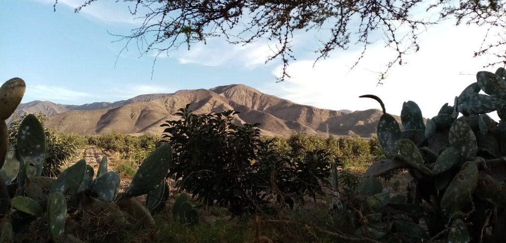 Cantalloc, Nazca