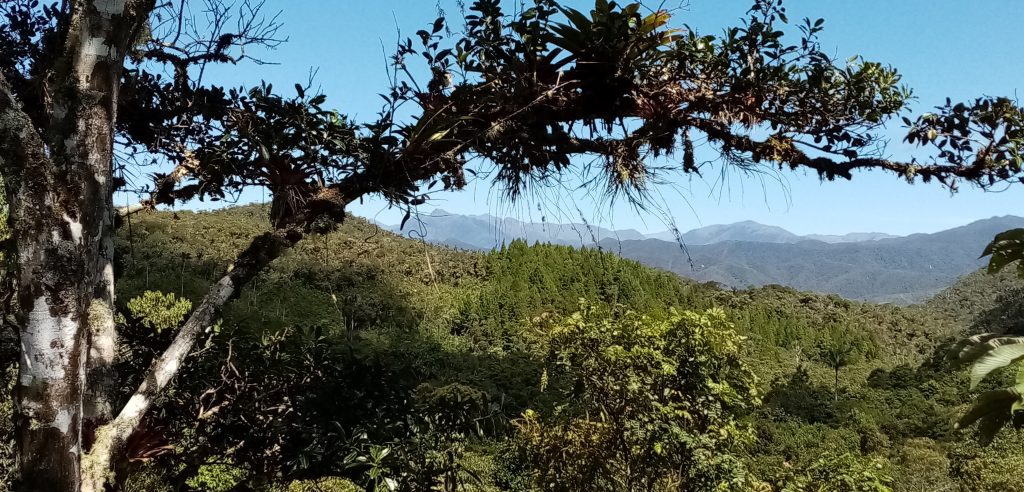 Ulcumano Ecolodge Oxapampa