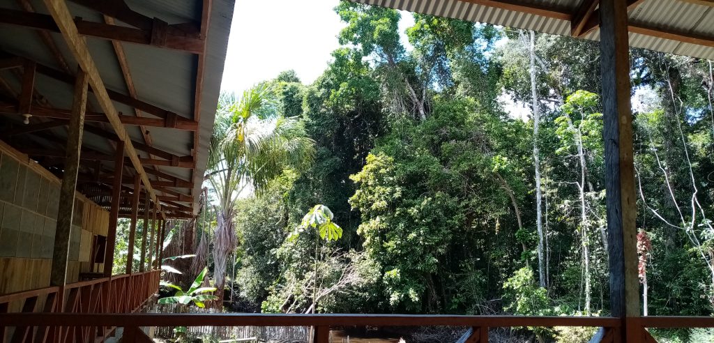 Wonder Amazon, Pacaya Samiria